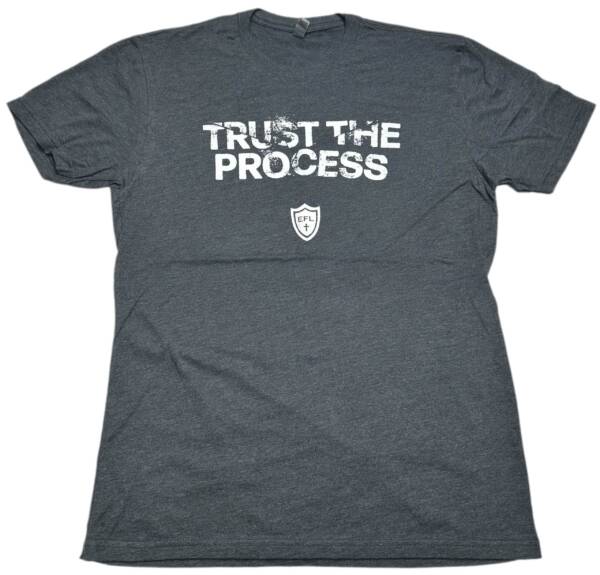 Trust the Process - Image 3